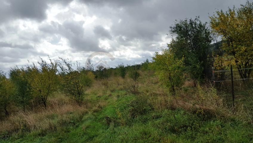 Działka Sprzedaż Ostroszowice